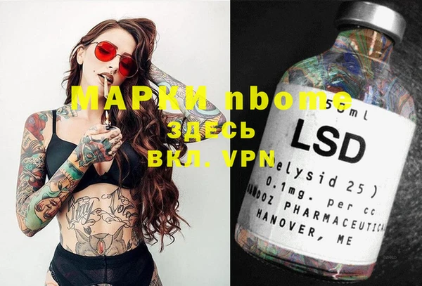 ПСИЛОЦИБИНОВЫЕ ГРИБЫ Арсеньев