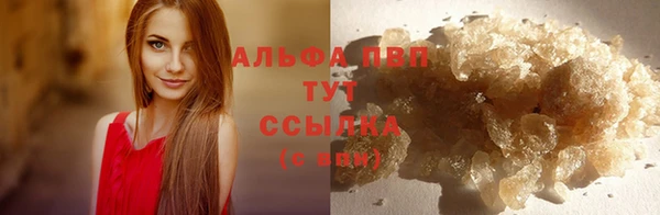 молекула духа Аркадак