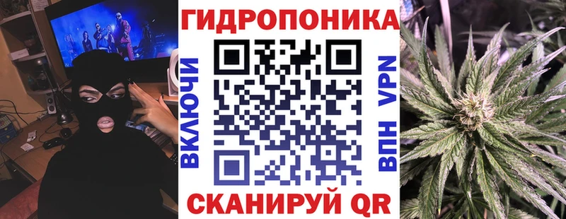 Бошки марихуана марихуана дарнет шоп Балахна